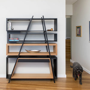 The family dog walks casually past the modern bookcase resting against a white wall